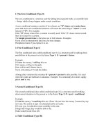 Conditional sentences +wish