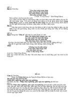 de HSG tieng viet 5 de 11