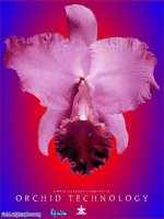 English 6, Unit 9, Lesson 3