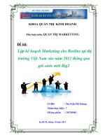 Lập kế hoạch Marketing cho Beeline tại thị trường Việt Nam vào năm 2011 thông qua gói cước mới Big2