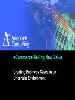 eCommerce-Selling New Value: Creating Business Cases in an Uncertain Environment.