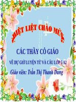 LUYỆN TỪ VÀ CÂU-TUẦN 13