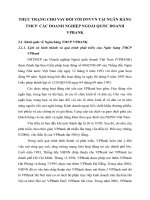 THỰC TRẠNG CHO VAY ĐỐI VỚI DNVVN TẠI NGÂN HÀNG TMCP  CÁC DOANH NGHIỆP NGOÀI QUỐC DOANH VPBANK