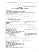 Tuần 14 lớp 2 (KNS)