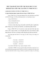 THỰC TRẠNH KẾ TOÁN TIÊU THỤ HÀNG HOÁ VÀ XÁC ĐỊNH KẾT QUẢ TIÊU THỤ TẠI CÔNG TY TNHH TM ÂU Á