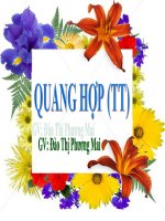 quang hợp (tt)