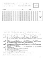 ĐỀ THI HK1 HÓA 12CB (2010-2011)