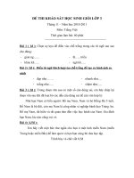 Đề khảo sát HSG môn TV tháng 11