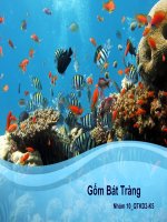 Công nghệ làm gốm bát tràng