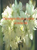 Thong tin ngay Trai Dat nam 2000