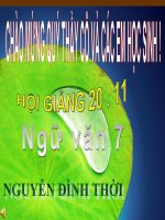T52 - ÔN TẬP VĂN BẢN BIỂU CẢM ( Ngữ văn 7 )