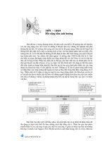 1981 - 1990 Mở rộng tầm ảnh hưởng