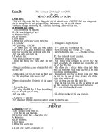 GA  tuần 24 đủ 2 buổi