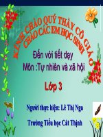 Bài 30. Hoạt động nông nghiệp