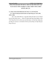 PHÂN TÍCH RỦI RO TÍN DỤNG  CHO VAY HỘ NÔNG DÂN TẠI NGÂN HÀNG NÔNG NGHIỆP VÀ PHÁT TRIỂN NÔNG THÔN