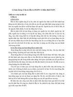 Lý luận chung về dự án đầu tư (DAĐT) và thẩm định DAĐT