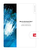 Why Do We Need Fiber?