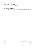 LỰA CHỌN CHIẾN LƯỢC