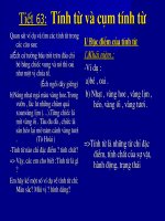 Tính từ và cụm tính từ