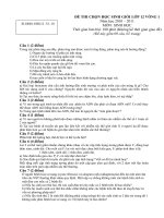 đề thi hsg 12 năm 2010 - 2011