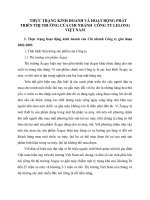 THỰC TRẠNG KINH DOANH VÀ HOẠT ĐỘNG PHÁT TRIỂN THỊ TRƯỜNG CỦA CHI NHÁNH  CÔNG TY LELONG VIỆT NAM