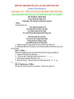 ĐỀ & ĐÁP ÁN HSG TV 3