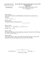 Đề+ĐA chọn HSG môn Toán - Bn-10-11.doc