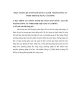 THỰC TRẠNG KẾ TOÁN BÁN HÀNG TẠI CHI  NHÁNH CÔNG TY TNHH THIẾT BỊ NẶNG TẤT HỒNG