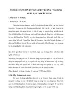 TỔNG QUAN VỀ TÍN DỤNG VÀ CHẤT LƯỢNG   TÍN DỤNG NGẮN HẠN TẠI CÁC NHTM