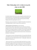 Một số biện pháp xử lý và chăm sóc mạ nền cứng vụ xuân 2008