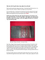 Di sản VH thế giới (Mộc bản triều Nguyễn)