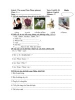 đề T.Anh lớp5 CK1(10-11)