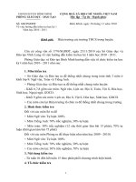 Hướng dẫn thi HKI Năm Học 2010-2011