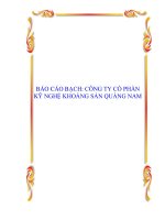 BÁO CÁO BẠCH: CÔNG TY CỔ PHẦN KỸ NGHỆ KHOÁNG SẢN QUẢNG NAM