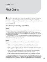 Pivot Charts