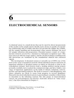 Electrochemical Sensors
