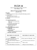 Giáo án mĩ thuật tuần 14 lơp 3