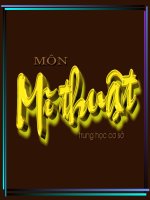 Bai 10 Mau Sac. Giao An tuyet voi