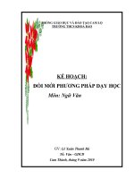 KẾ HOẠCH ĐỔI MỚI PPDH - Môn ngữ văn