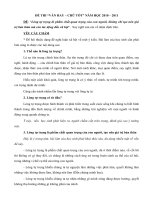 Đề thi Van hay chữ tốt huyện 2010-2011