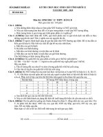 Đề Thi HSG 12 Tỉnh NA 2009-2010(Bảng B)