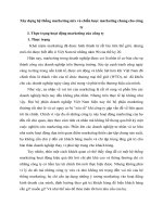 Xây dựng hệ thống marketing mix và chiến lược marketing chung cho công ty