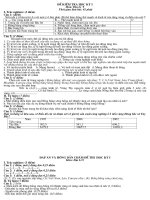 Đề thi HKI Địa lí 9