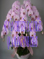 bai 18 VAN CHUYEN CAC CHAT QUA MANG SINH CHAT