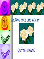 TIET 51: BO AN SAU BO