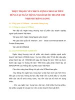 THỰC TRẠNG VỀ CHẤT LƯỢNG CHO VAY TIÊU DÙNG TẠI NGÂN HÀNG NGOÀI QUỐC DOANH CHI NHÁNH THĂNG LONG