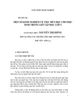 Sáng kiến kinh nghiệm - Tham khảo