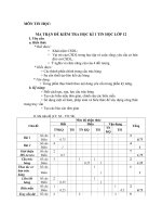 Ma trận đề thi HK1 môn Tin Học 12. Năm Học 2010-2011