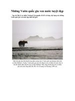 Những vườn Quốc gia ven nước nổi tiếng Thế giới