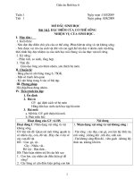 bài 13: cắm hoa trang trí